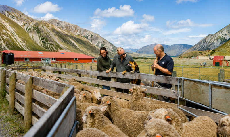 Flockhill country farm tour final