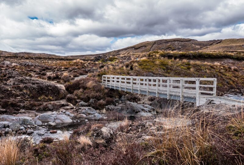 Taupo tongariro national park new zealand
