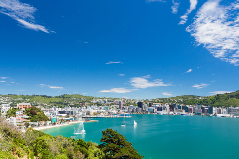Wellington harbour
