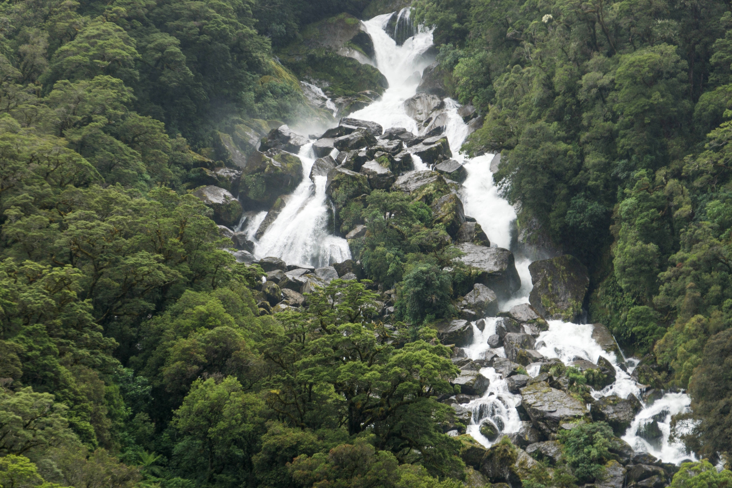 West coast roaring billy falls jpg