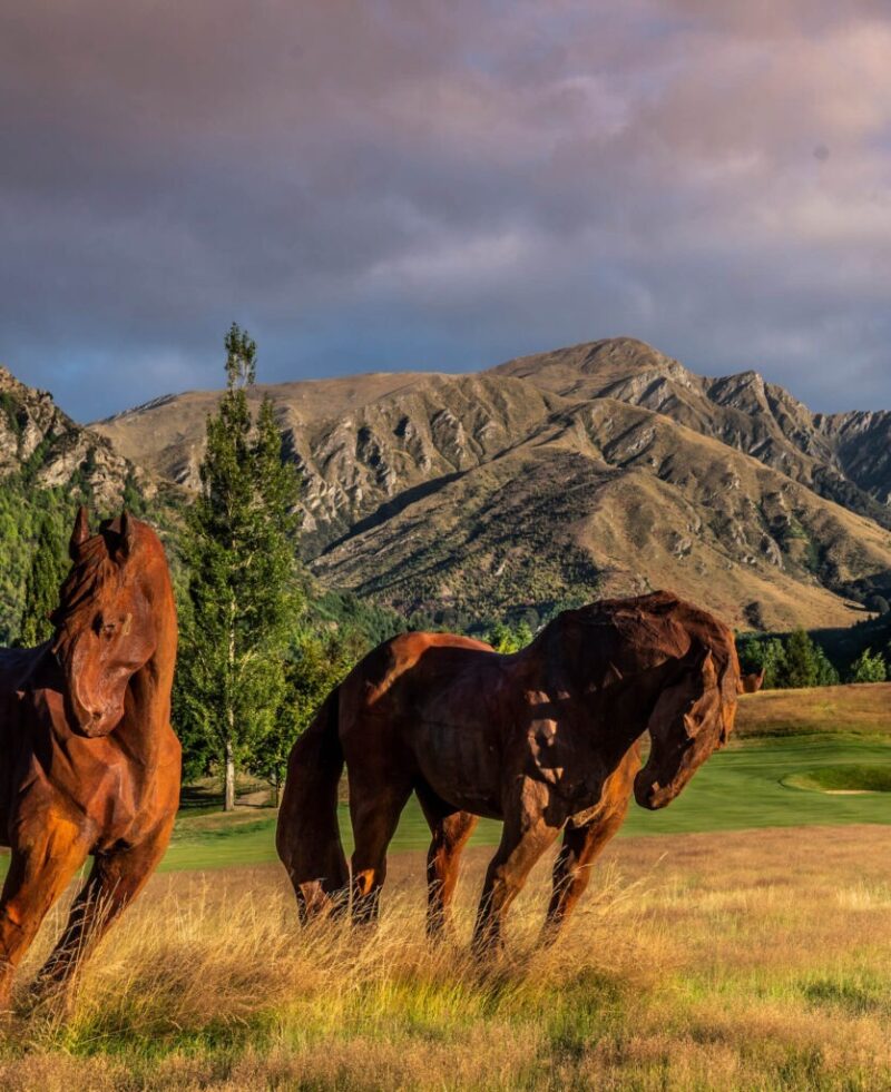 The hills 3 mb 835x1024