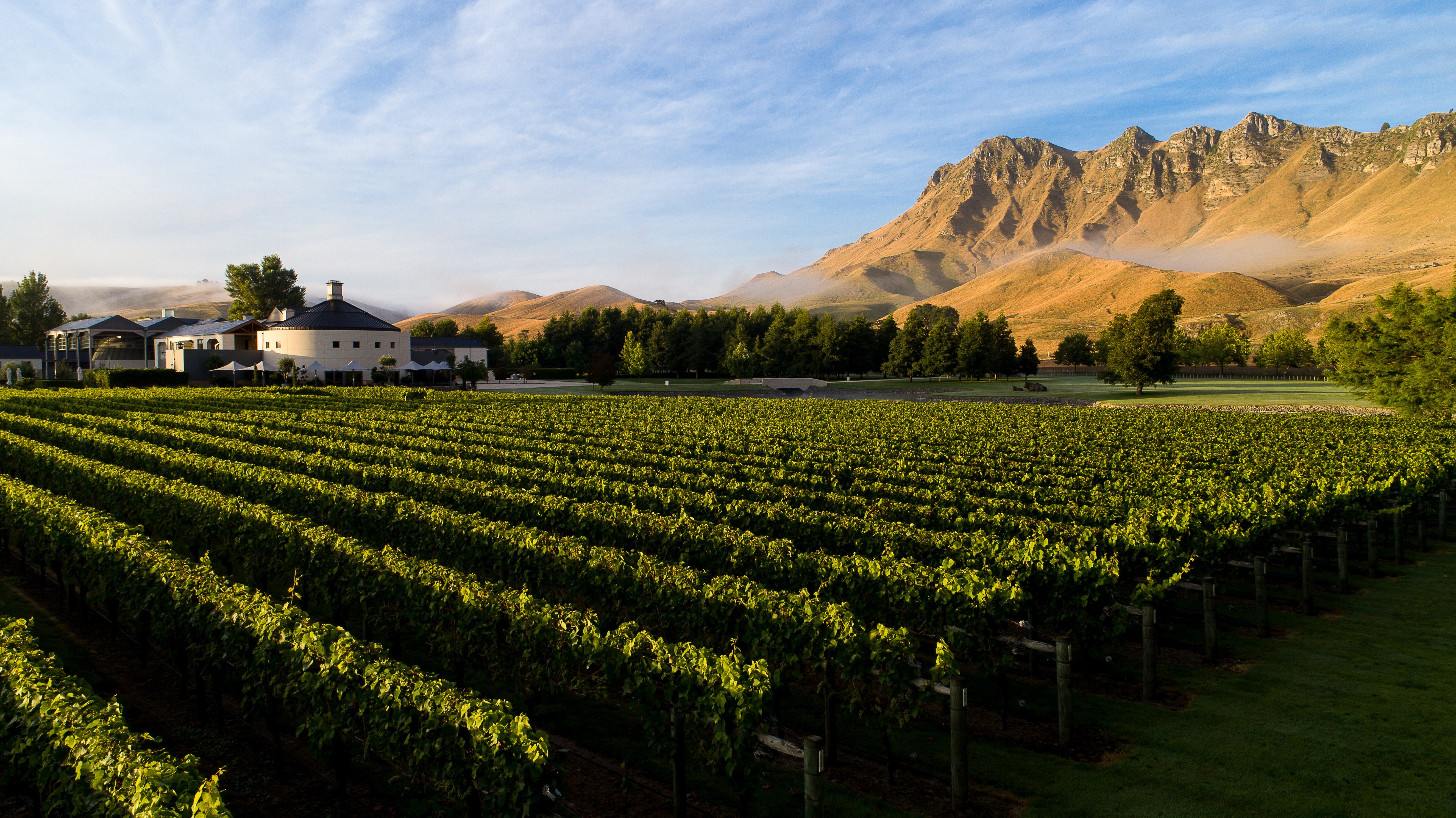 Craggy Range Giants Winery Low with vines