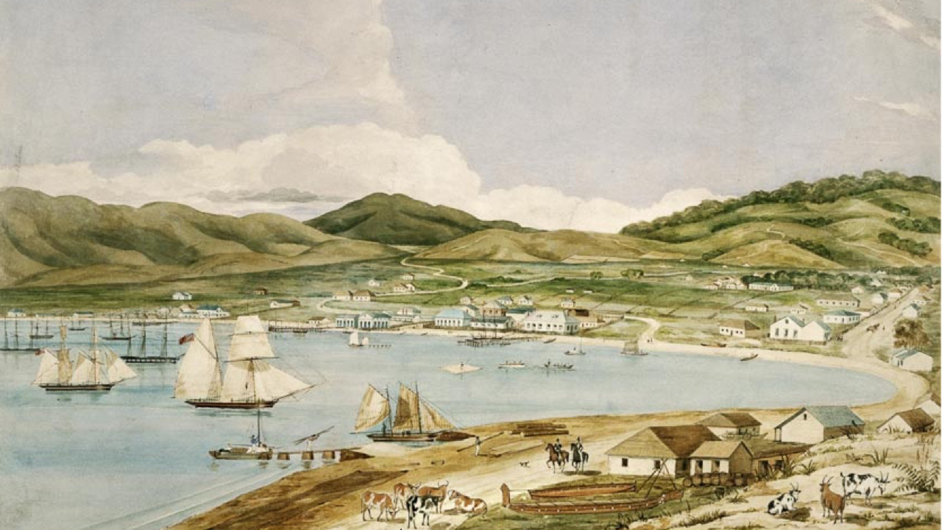 Port Nicholson 1841