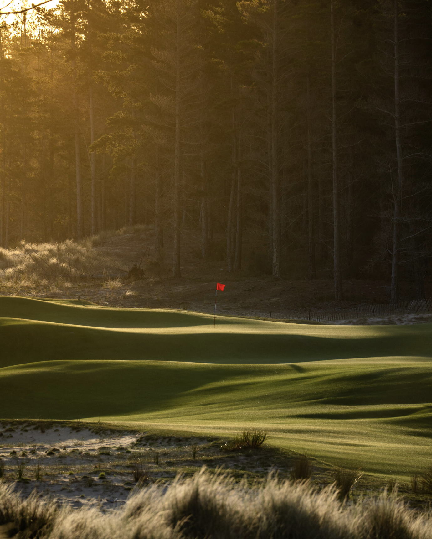 TeAraiNorth4thgreen