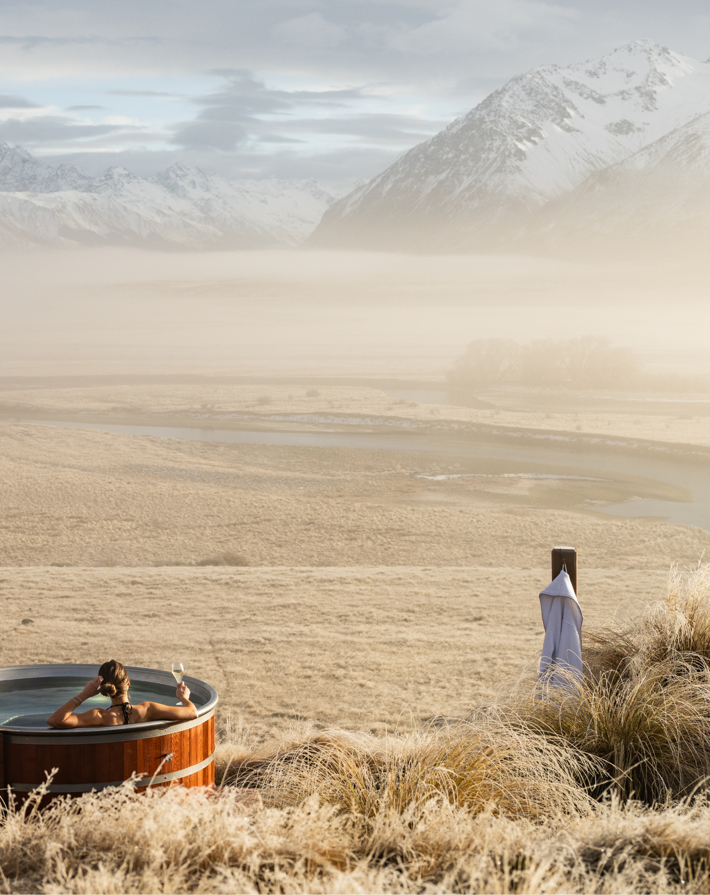 TLG Website Banner 3 1
