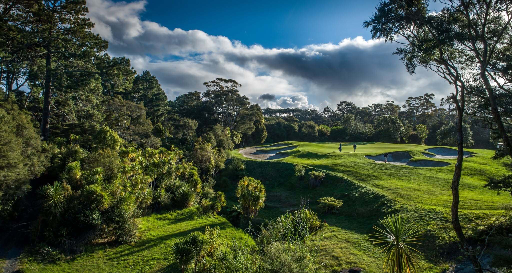 Titirangi3