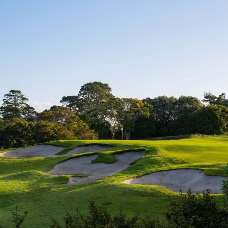 Titirangi2