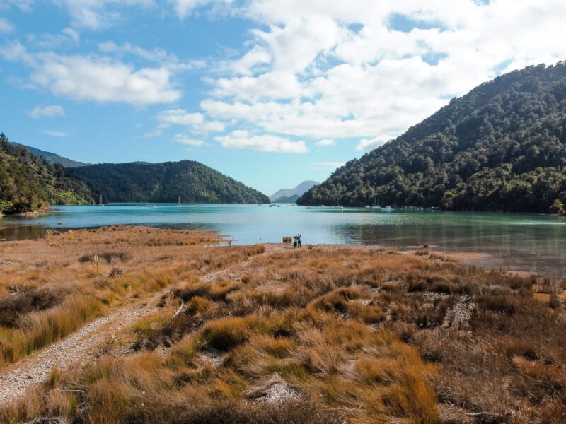Marlborough sounds