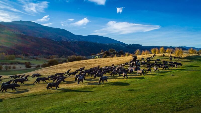 The hills 4 dt