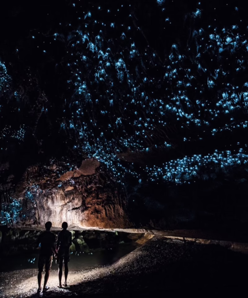 Waitomocaves