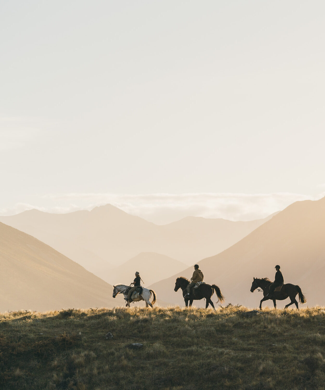 Horsetrek
