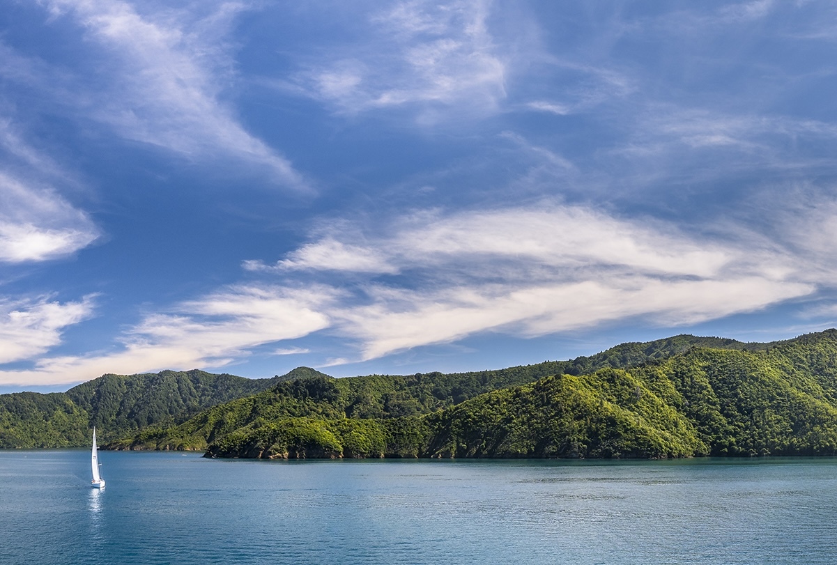 Marlborough sounds yacht